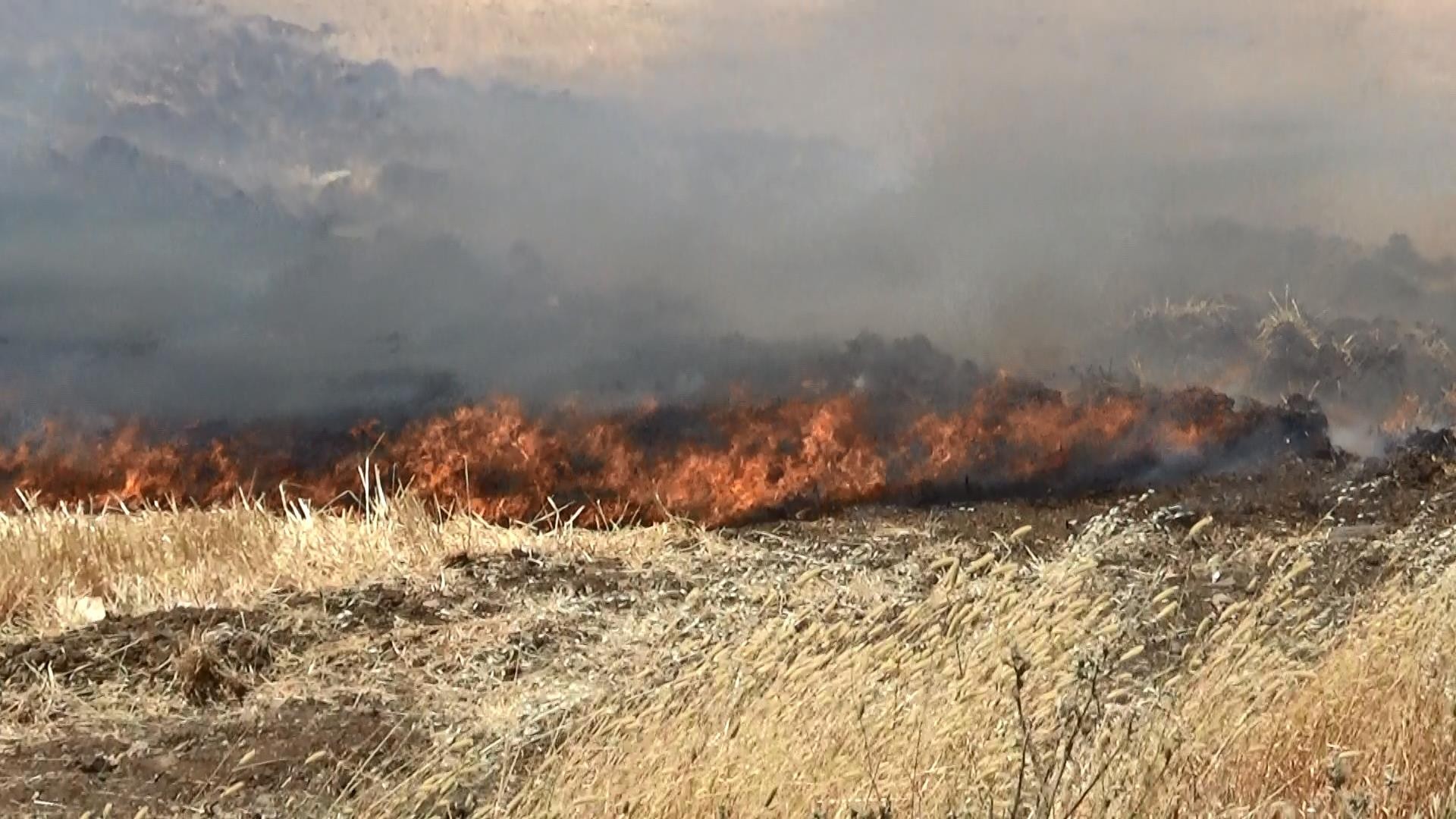 Diyarbakır’da anız yangınları başladı