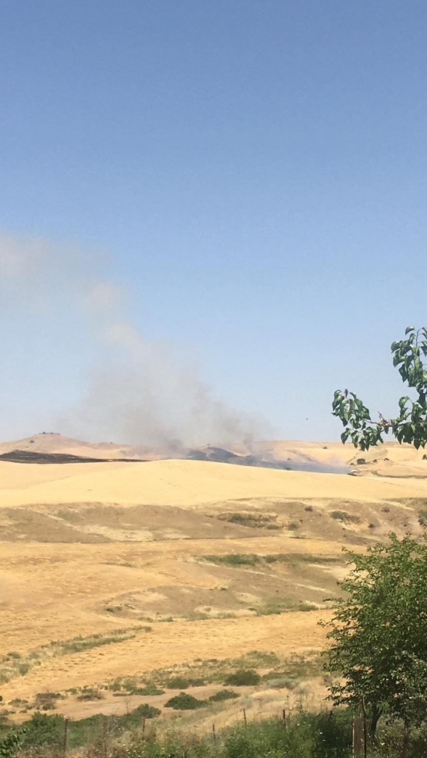 Diyarbakır’da Biçerdöverden sıçrayan kıvılcım yangına yol açtı