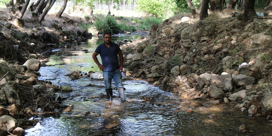 Mardin’de kuraklık, akarsular çekiliyor