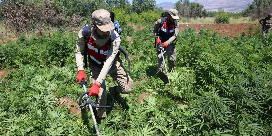 Diyarbakır'daki uyuşturucu operasyonunda 32 kilogram esrar ele geçirildi