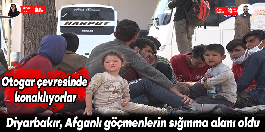 VİDE0 - Diyarbakır, Afganlı göçmenlerin sığınma alanı oldu