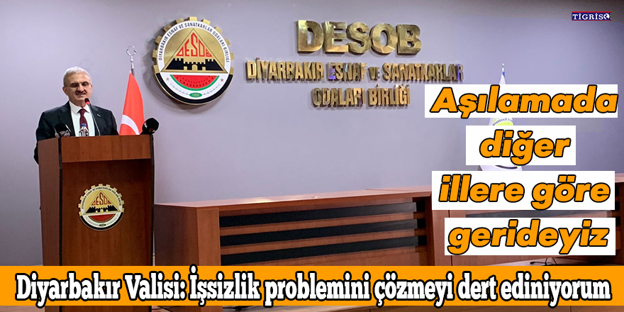 Diyarbakır Valisi: İşsizlik problemini çözmeyi dert ediniyorum