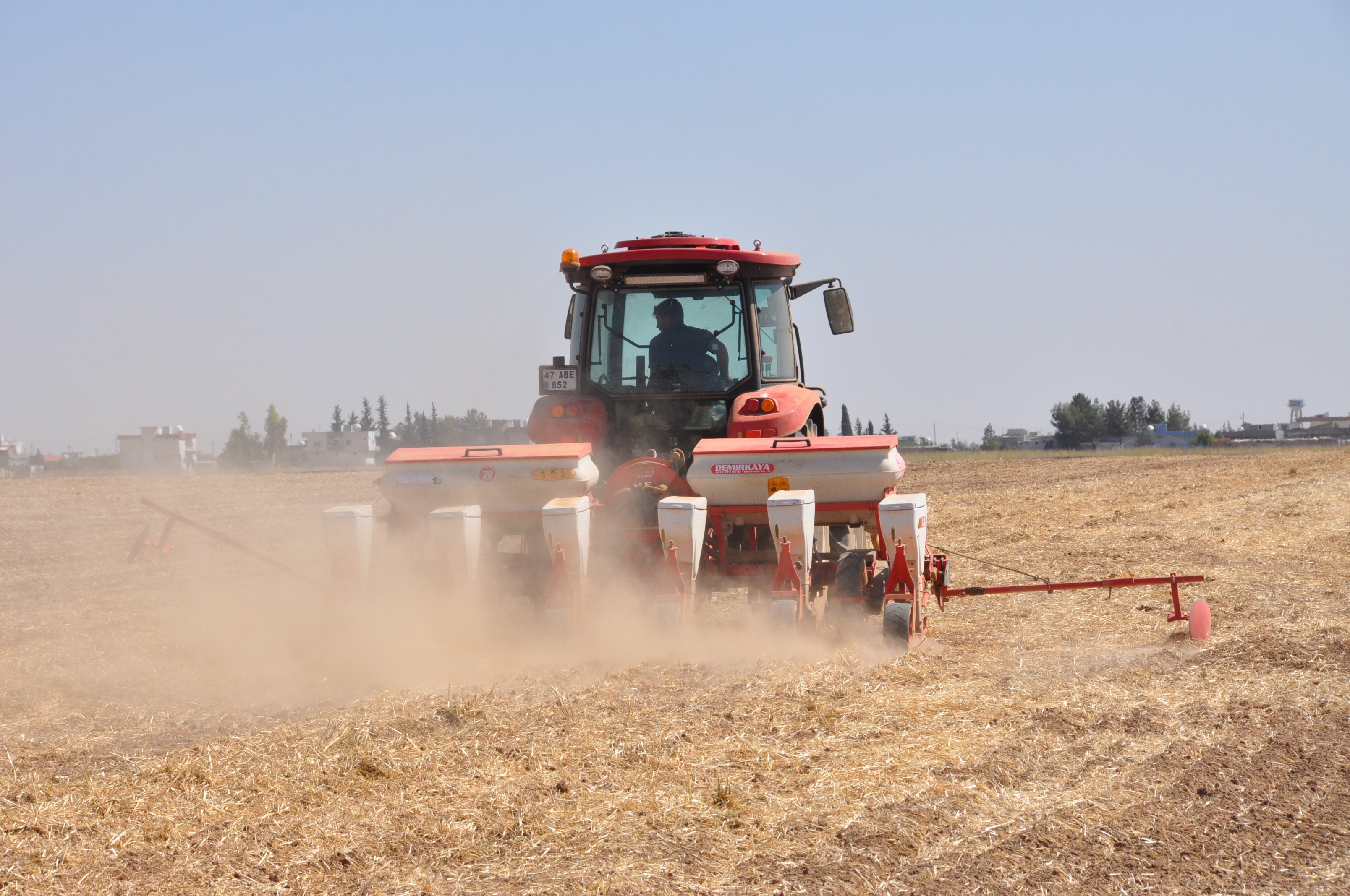 Mardin’de buğday hasadı bitti, sıra mısırda