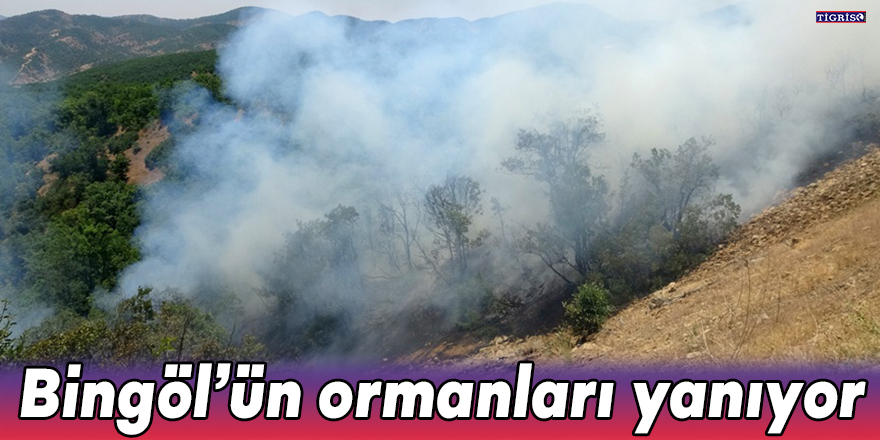 Bingöl’ün ormanları yanıyor