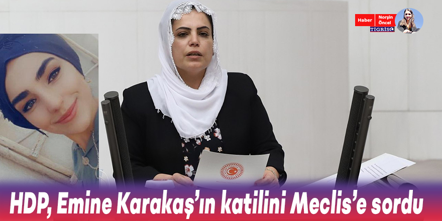 HDP, Emine Karakaş’ın katilini Meclis’e sordu