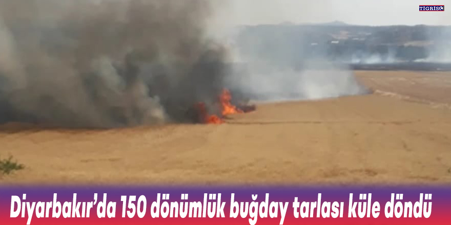 Diyarbakır’da 150 dönümlük buğday tarlası küle döndü