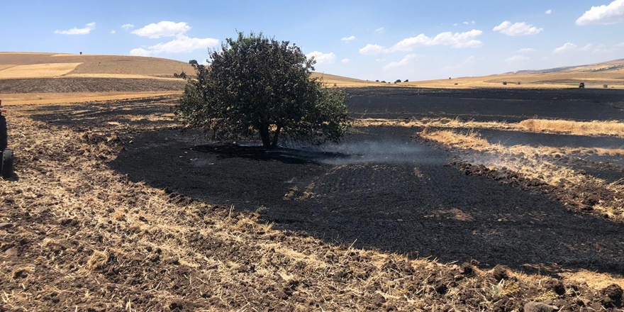 Dersim’de 150 dönümlük ekili alan kül oldu