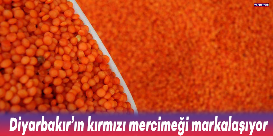 Diyarbakır’ın kırmızı mercimeği markalaşıyor