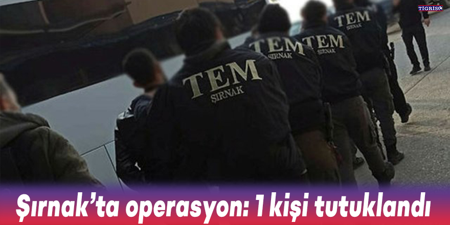 Şırnak’ta operasyon: 1 kişi tutuklandı