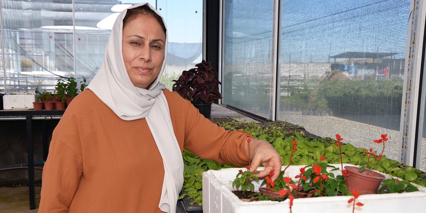 Diyarbakır’da kadın eliyle Güneydoğu’nun ilk çiçek serası kuruldu