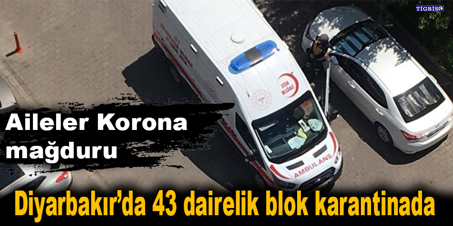 Diyarbakır’da 43 dairelik blok karantinada
