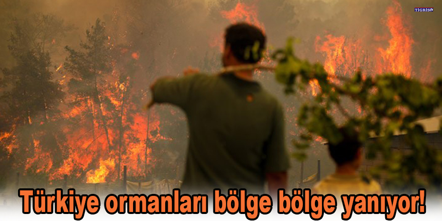 Türkiye ormanları bölge bölge yanıyor!