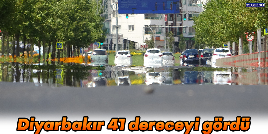 Diyarbakır 41 dereceyi gördü