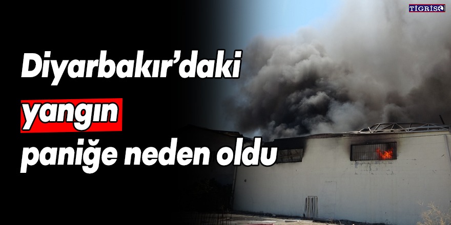 Diyarbakır’daki yangın paniğe neden oldu
