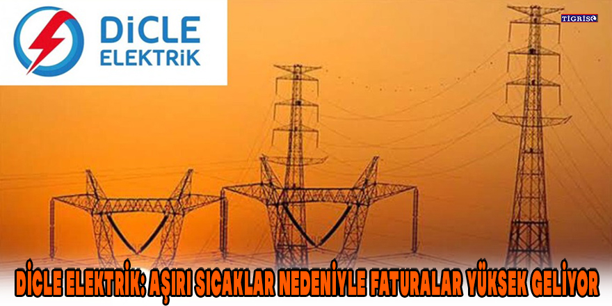 Dicle Elektrik: Aşırı sıcaklar nedeniyle faturalar yüksek geliyor