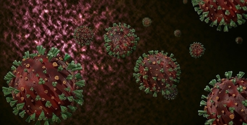 DSÖ’den virüsün kökenine ilişkin yeni araştırma ekibi