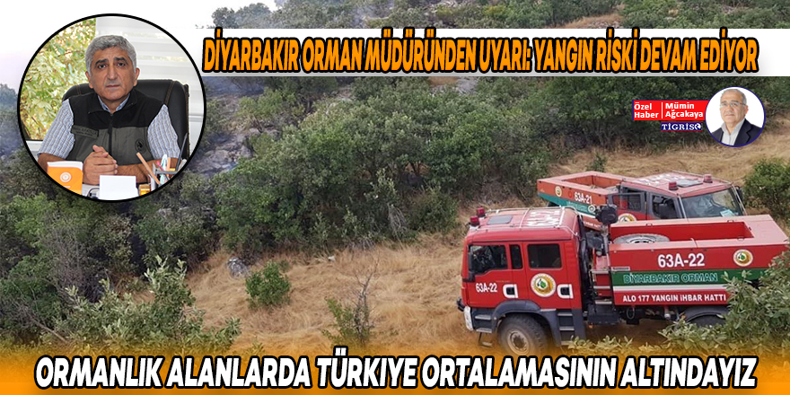 Ormanlık alanlarda Türkiye ortalamasının altındayız
