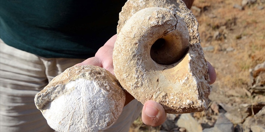 Muş'ta 35 milyon yıllık deniz canlısı fosilleri bulundu