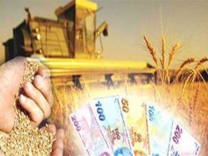 Çiftçi arazisi böyle bankanın oluyor