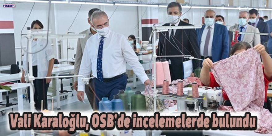 Vali Karaloğlu, OSB'de incelemelerde bulundu
