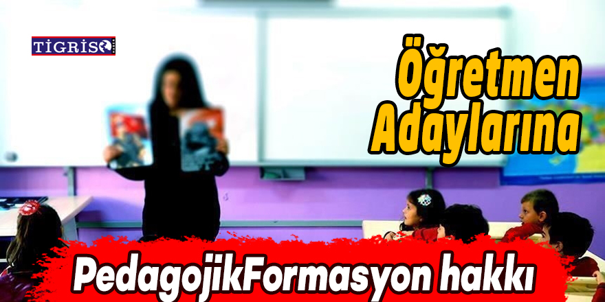 Öğretmen adaylarına pedagojik formasyon hakkı verildi