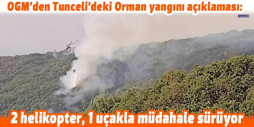 OGM’den Tunceli’deki Orman yangını açıklaması