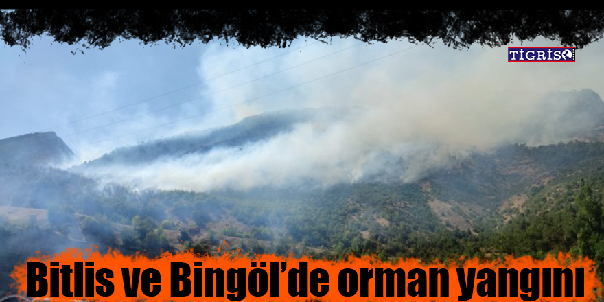 Bitlis ve Bingöl’de orman yangını