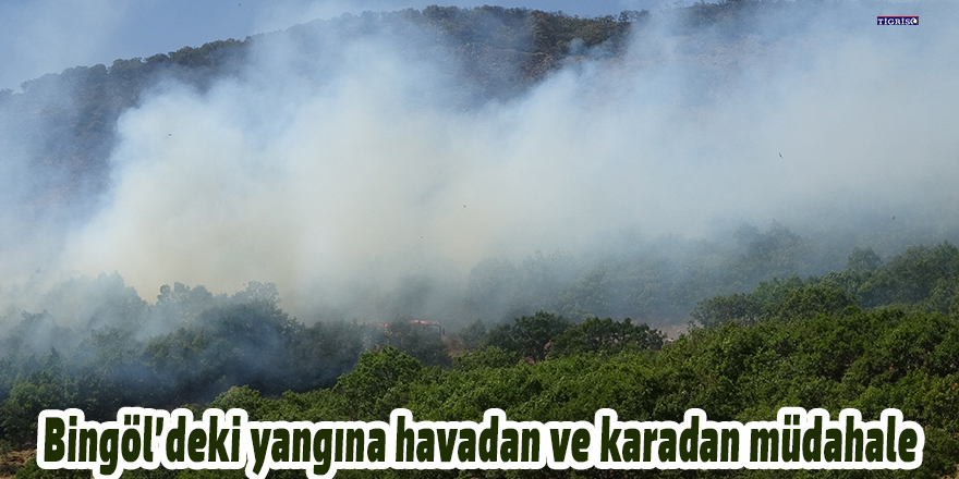 Bingöl’deki yangına havadan ve karadan müdahale