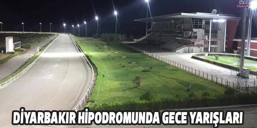 Diyarbakır hipodromunda gece yarışları