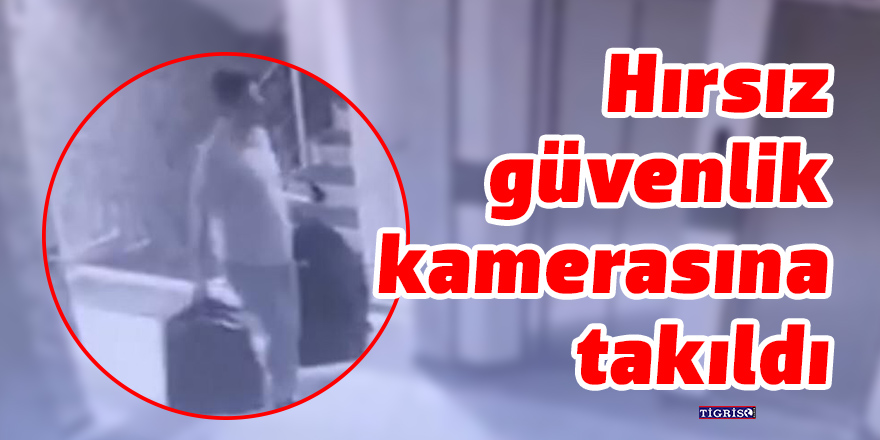 Hırsız güvenlik kamerasına takıldı