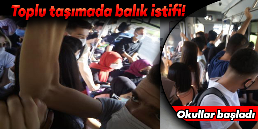 VİDEO - Okullar başladı, toplu taşımada balık istifi!