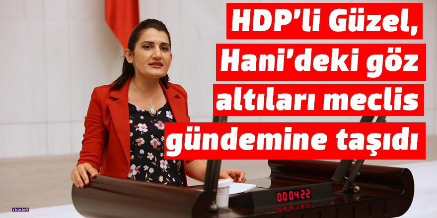 HDP’li Güzel, Hani’deki göz altıları meclis gündemine taşıdı