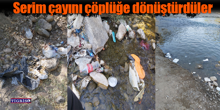 VİDEO - Serim çayını çöplüğe dönüştürdüler