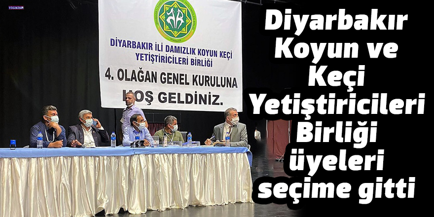 Diyarbakır Koyun ve Keçi Yetiştiricileri Birliği üyeleri seçime gitti