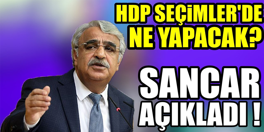 HDP’li Sancar: Pazarlığa değil, müzakerelere açığız