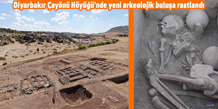 Diyarbakır Çayönü Höyüğü’nde yeni arkeolojik buluşa rastlandı