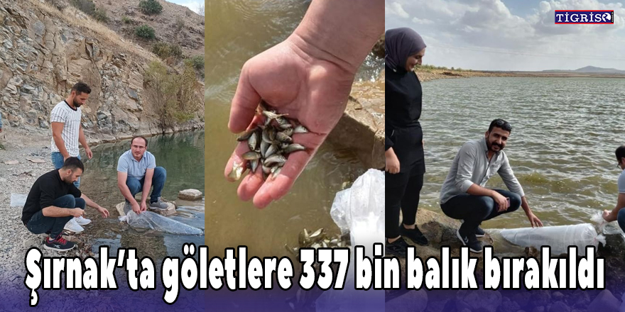Şırnak’ta göletlere 337 bin balık bırakıldı