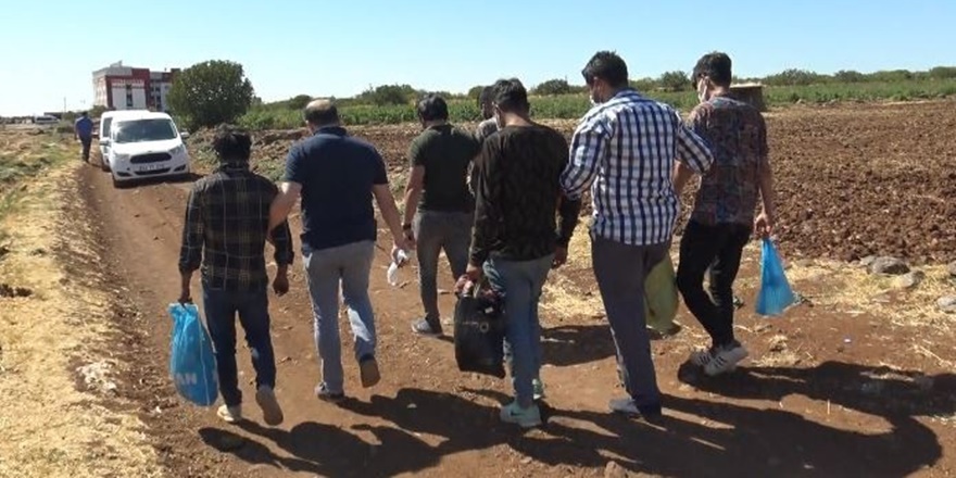 Siverek'te yakalanan göçmenler sınır dışı edilecek