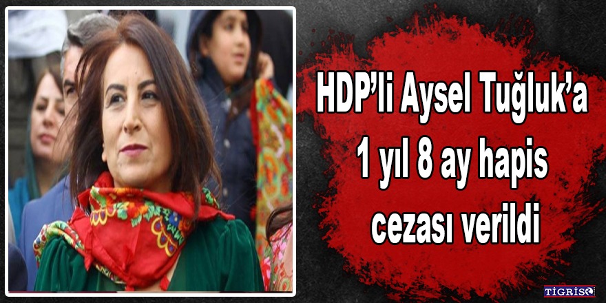 HDP’li Aysel Tuğluk’a 1 yıl 8 ay hapis cezası verildi