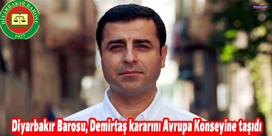 Diyarbakır Barosu, Demirtaş kararını Avrupa Konseyine taşıdı