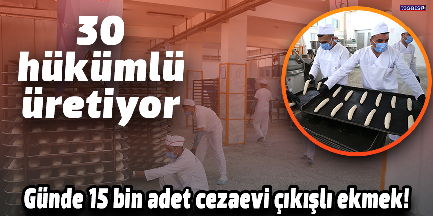 VİDEO - Günde 15 bin adet cezaevi çıkışlı ekmek!