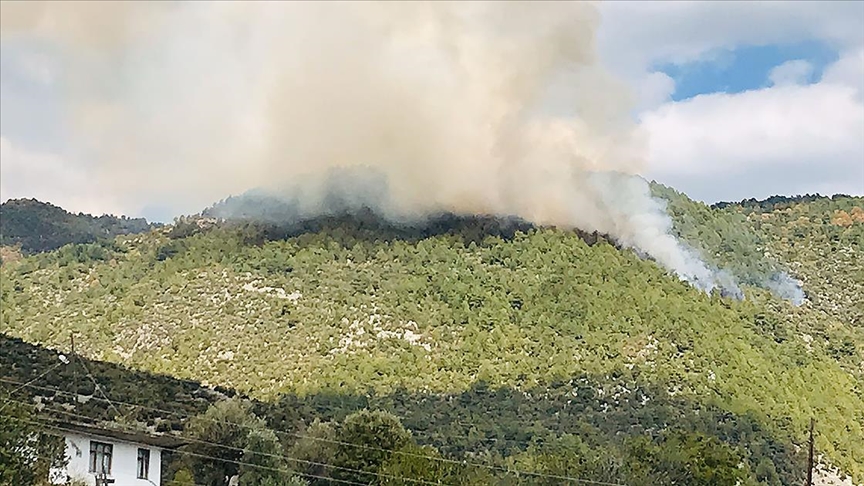 Manavgat'ta orman yangını, ekipler müdahale ediyor