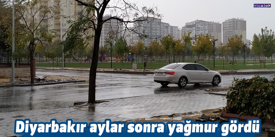 VİDEO - Diyarbakır aylar sonra yağmur gördü