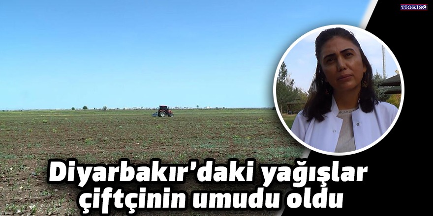 Diyarbakır’daki yağışlar çiftçinin umudu oldu