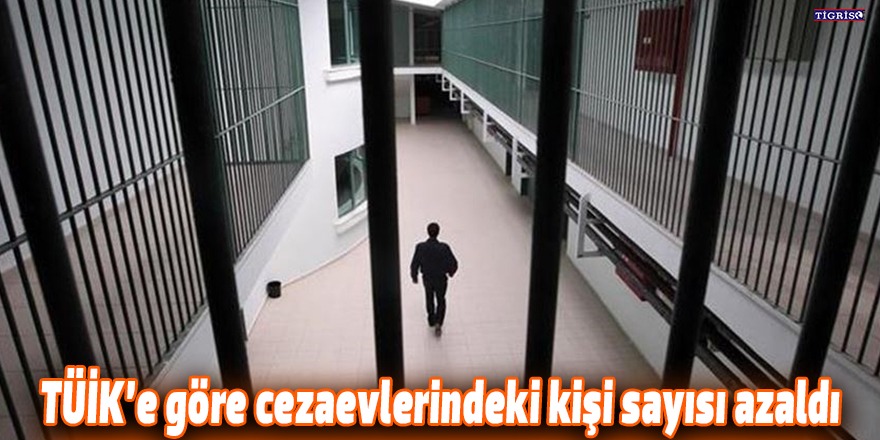 TÜİK’e göre cezaevlerindeki kişi sayısı azaldı