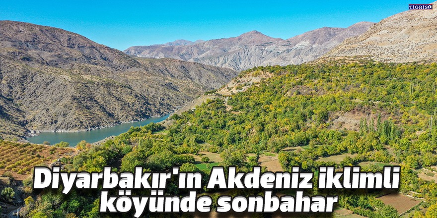Diyarbakır'ın Akdeniz iklimli köyünde sonbahar