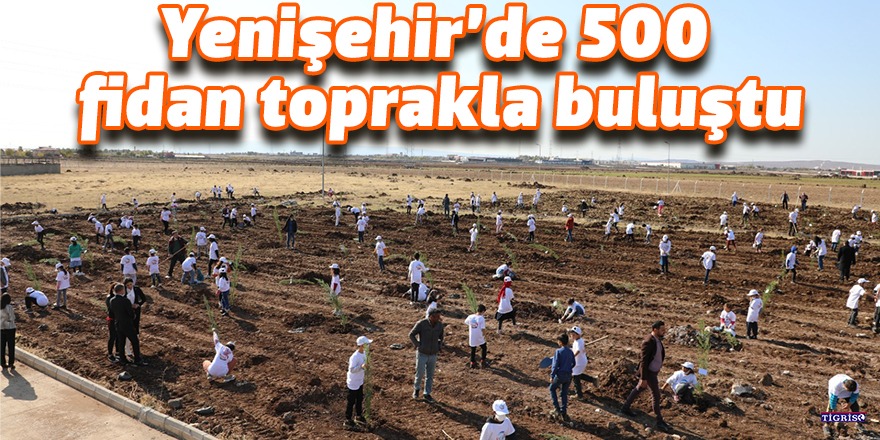 Yenişehir’de 500 fidan toprakla buluştu