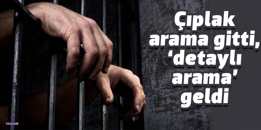 Çıplak arama gitti, 'detaylı arama' geldi