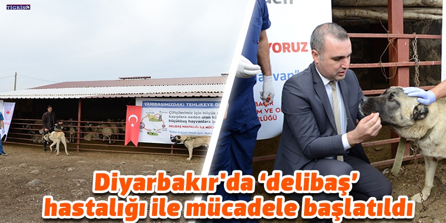 Diyarbakır'da 'delibaş' hastalığı ile mücadele başlatıldı
