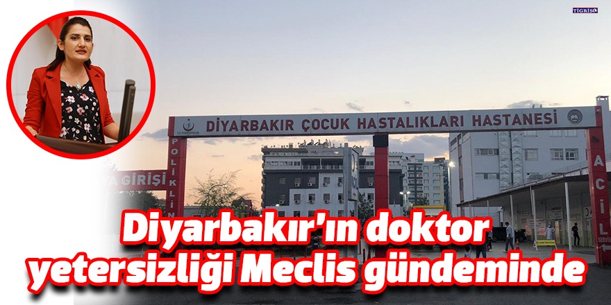 Diyarbakır’ın doktor yetersizliği Meclis gündeminde